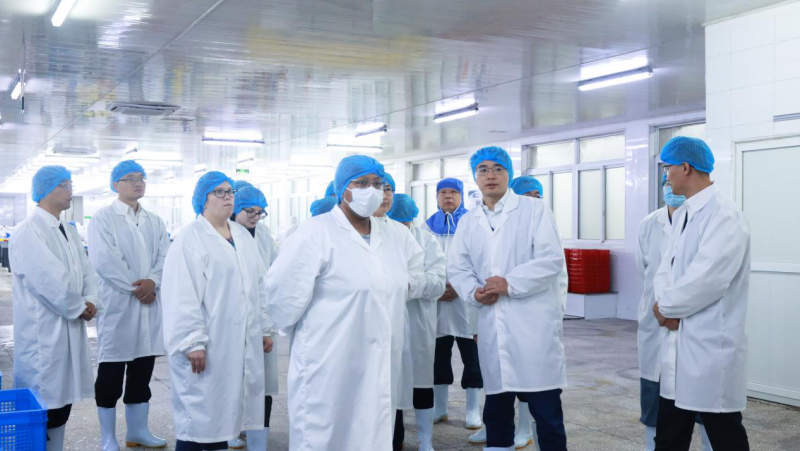 1734484931921790v0Lj.png 圖片2.png