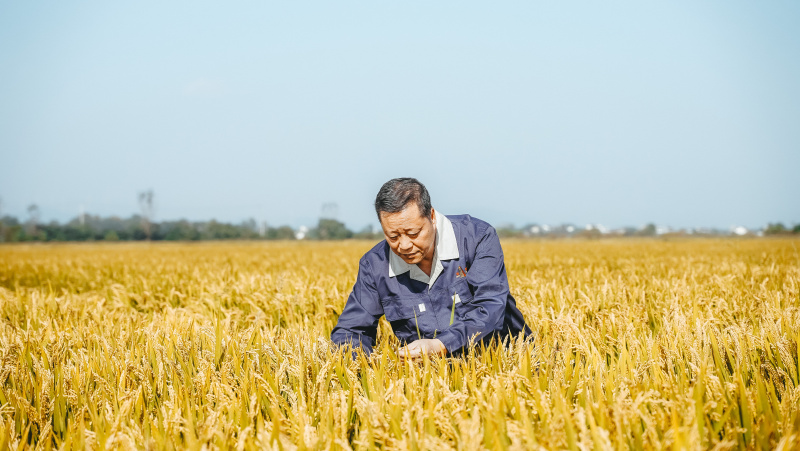 1752822450677103jzVT.jpg DSC08225-opq3493608362.jpg